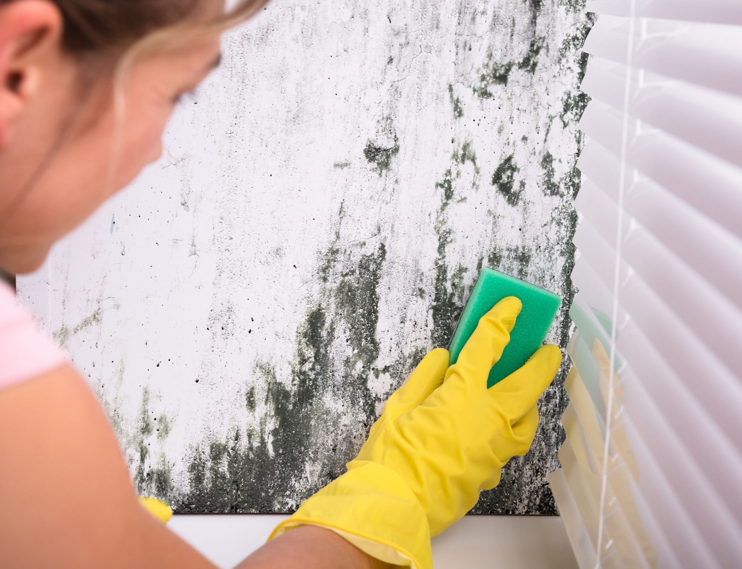 mulher limpando mofo